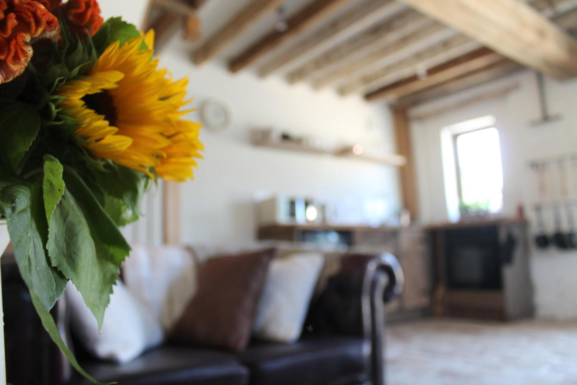 Vila The Dovecote - Unique Self-Contained 1Bed Renovated Barn Saffron Walden Exteriér fotografie